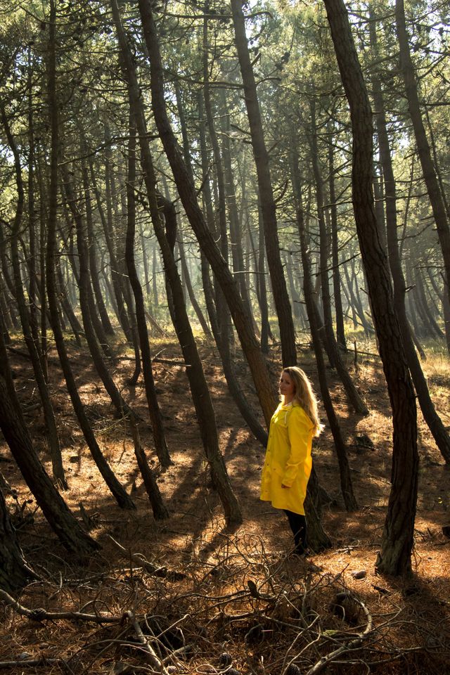 Vrouw in bos Vlieland met doorvallend zonlicht
