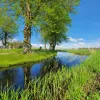 Veenlandschap Zuid Oost Friesland