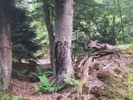 Beeldenroute Olterterp