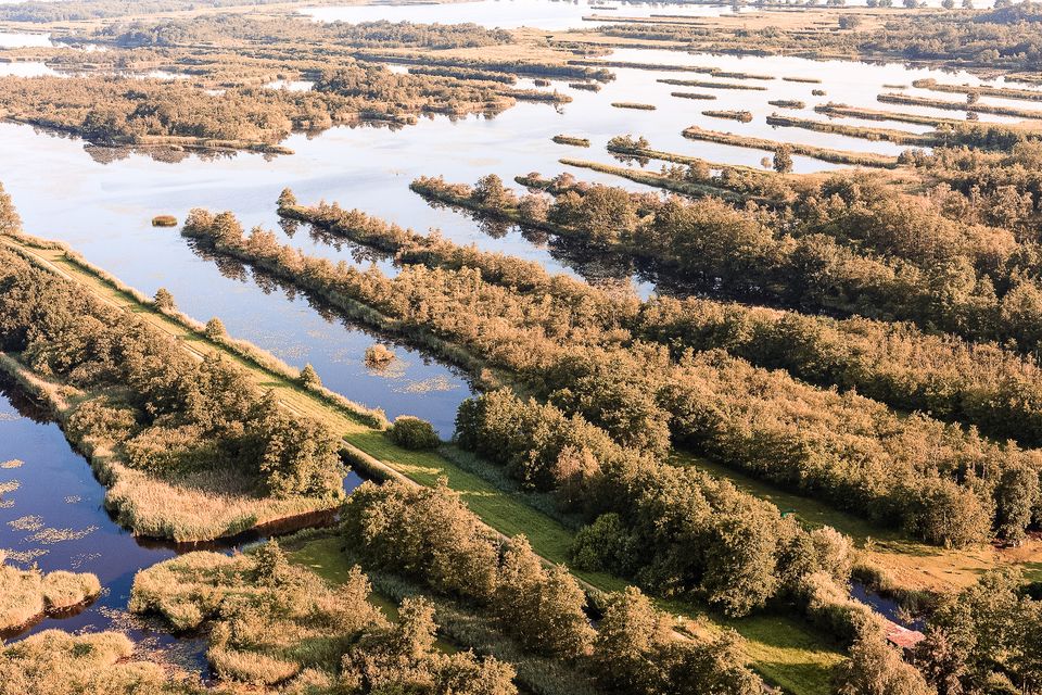 Ankeveense Plassen