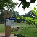 Wegwijzer