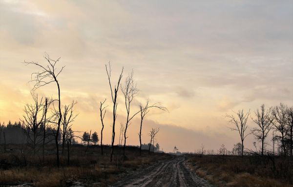 zonsondergang in natuurgebied