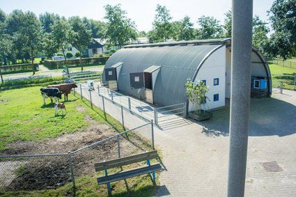 Stadboerderij de Balijhoeve met twee koeien en een kalf.