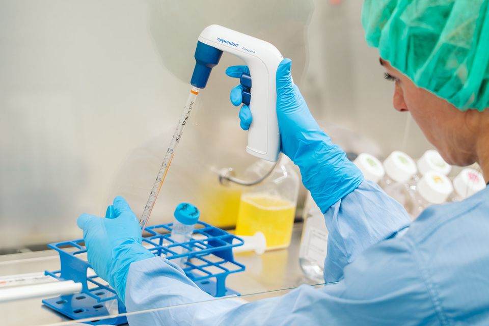 Lab ReGEN Biomedical Brightlands Maastricht Health Campus