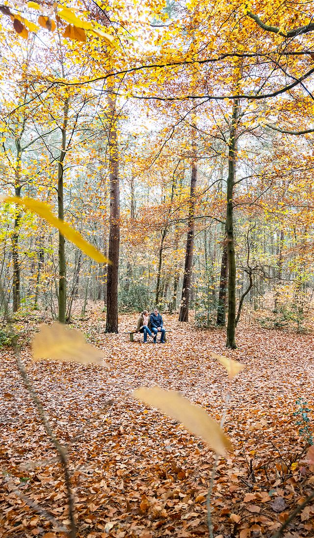 Twee personen zittend op een bankje in het bos in de Soesterduinen in Soest. Er liggen blaadjes op de grond en de bomen zijn oranje en geelkleurig.