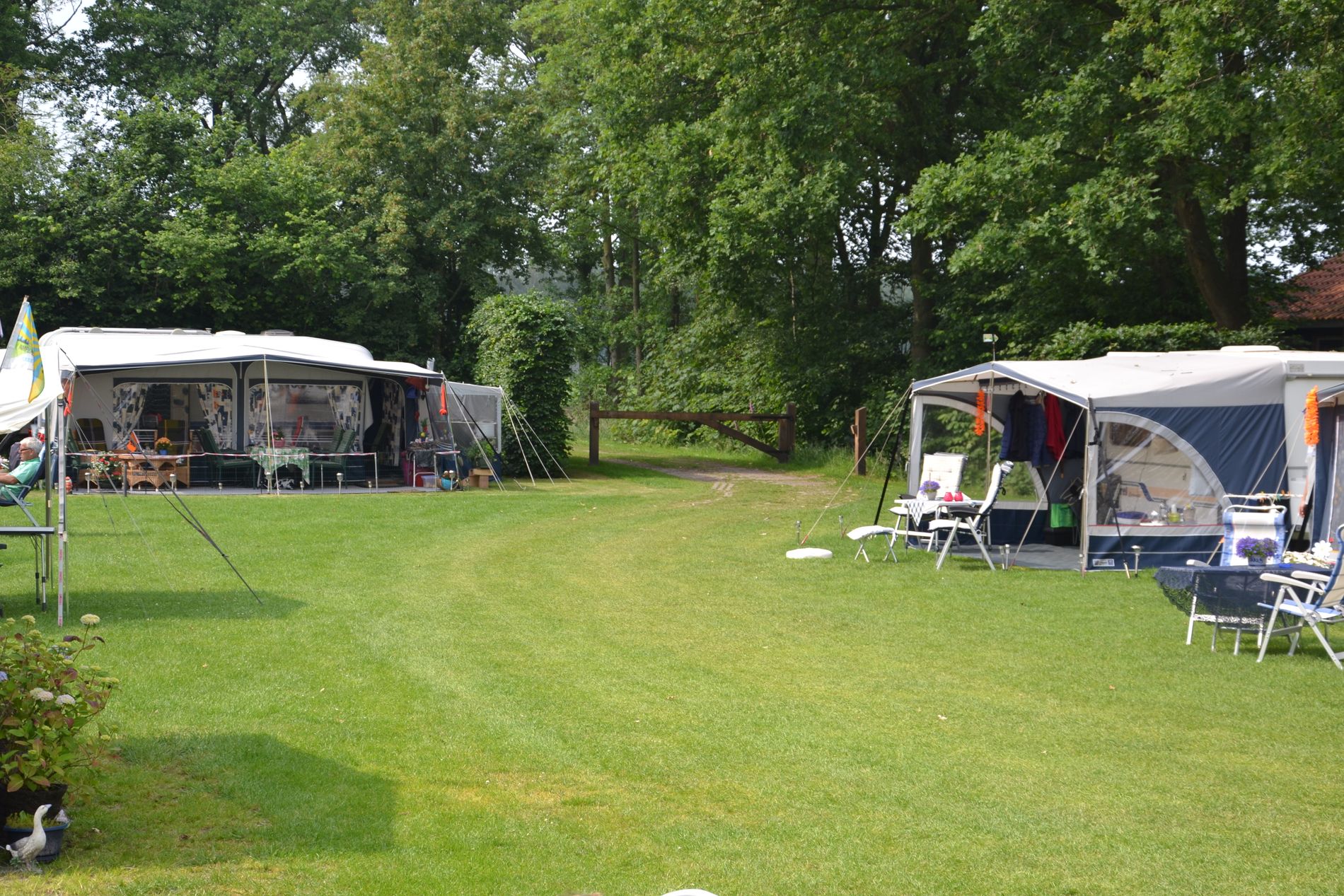 Groot groen grasveld met aan de zijkanten 2 caravans met voortenten en zitjes.