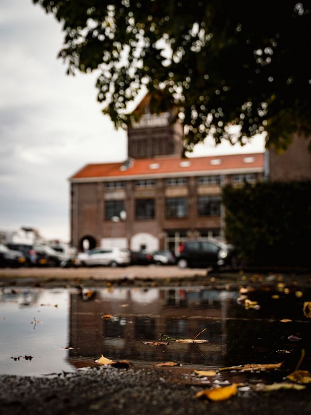 Foto van de chocoladefabriek van Verkade in herfstsfeer