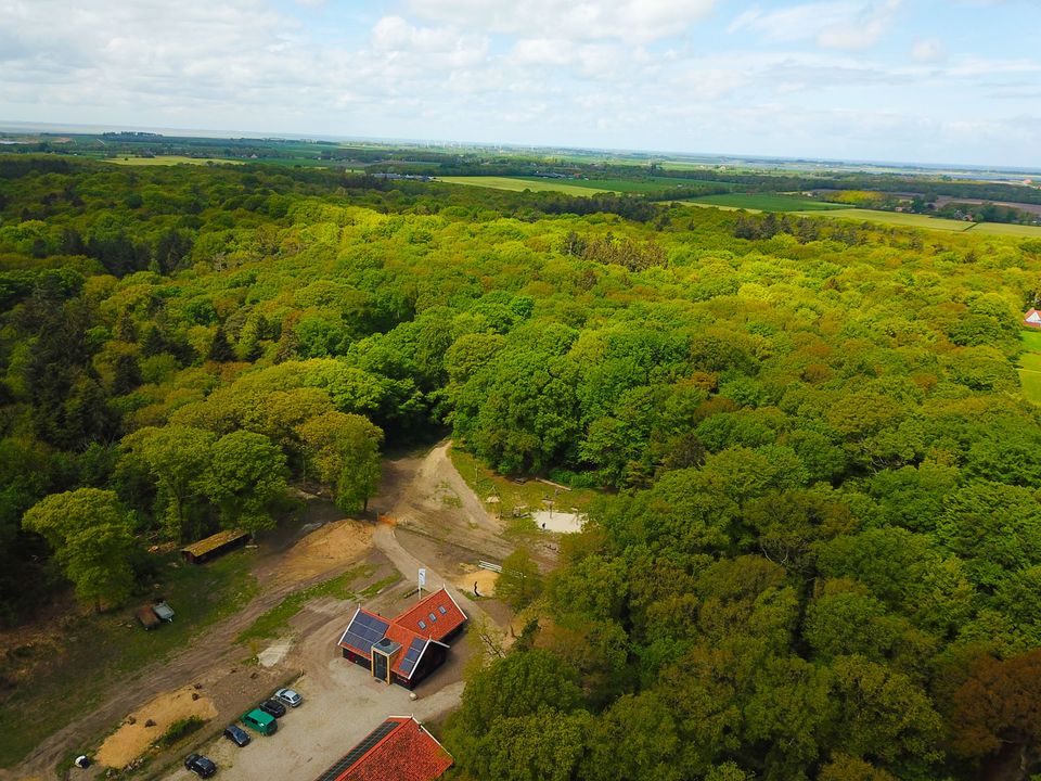 luchtfoto rijsterbos en terrein in het bos