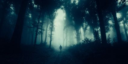 Foto wandeling in het donker