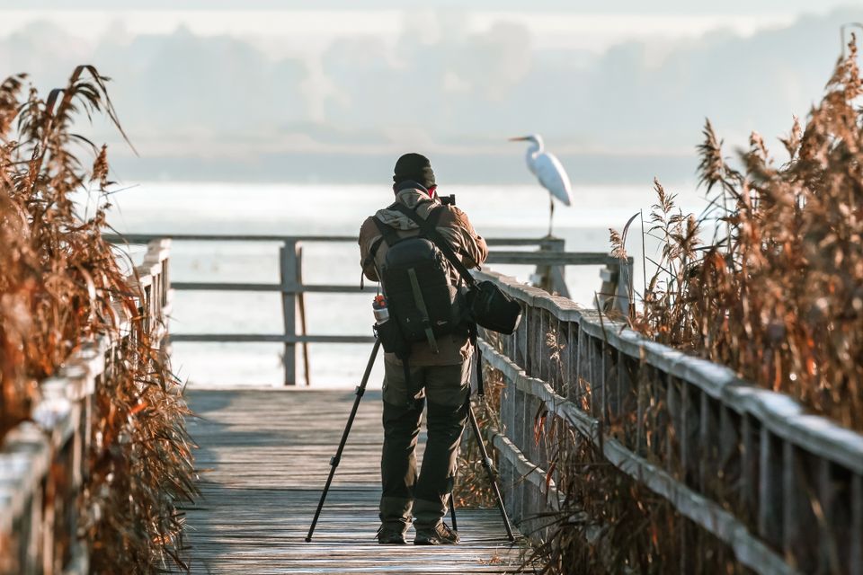 Natuur fotografie