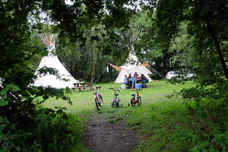 Kamperen in de natuur op een camping van Staatsbosbeheer