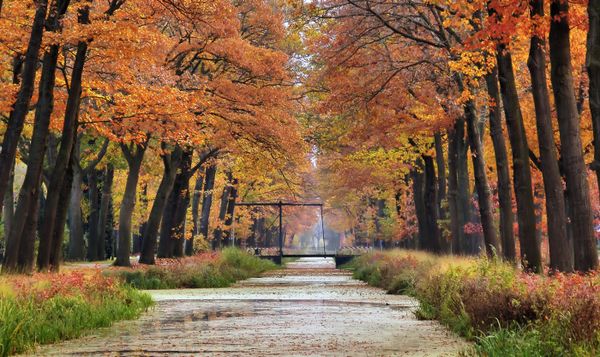 Griendtsveen, beschermd dorpsgezicht in de herfst
