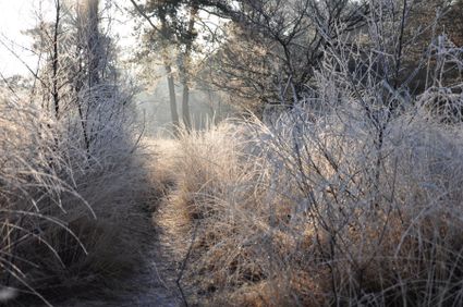 Foto van winters landschap wiel van bassa