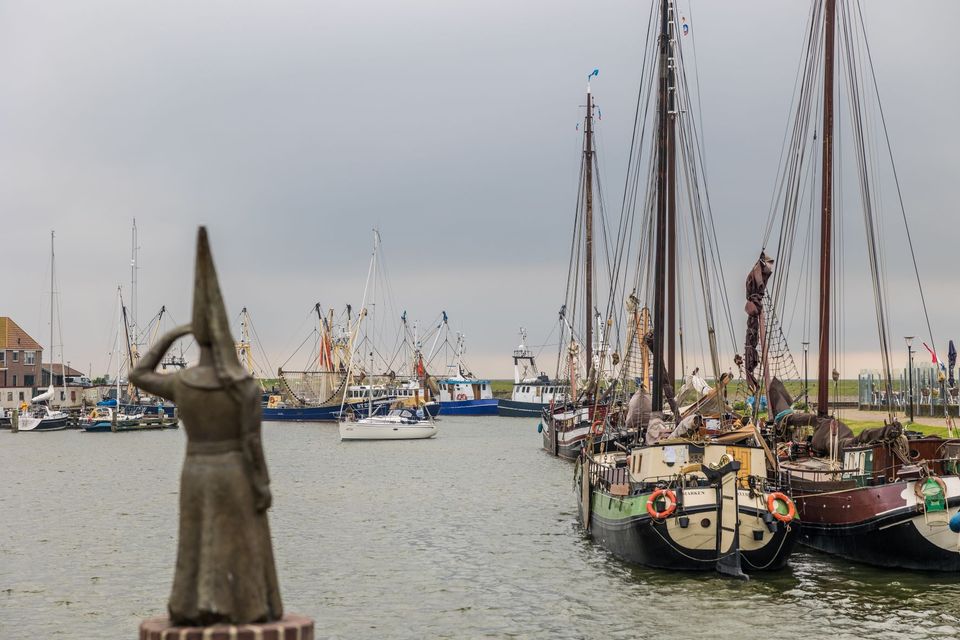 haven van stavoren met het vrouwtje