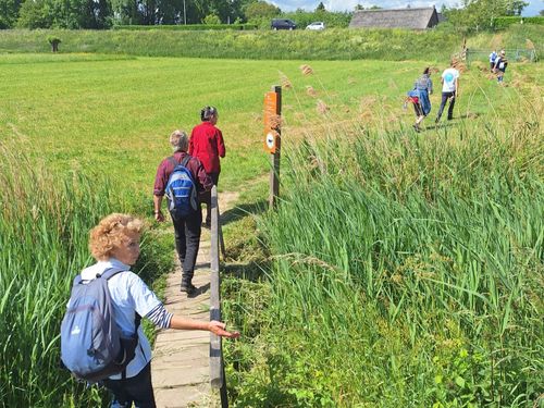 Foto van wandelaars Sport4Hope