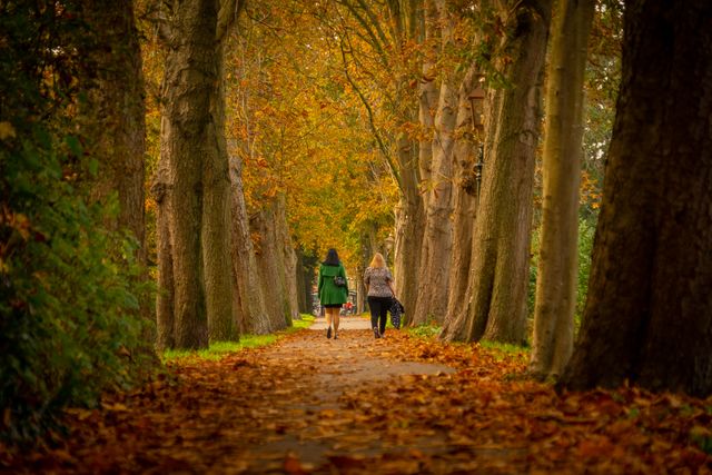 Zwei Frauen beim Spaziergang durch den Wald