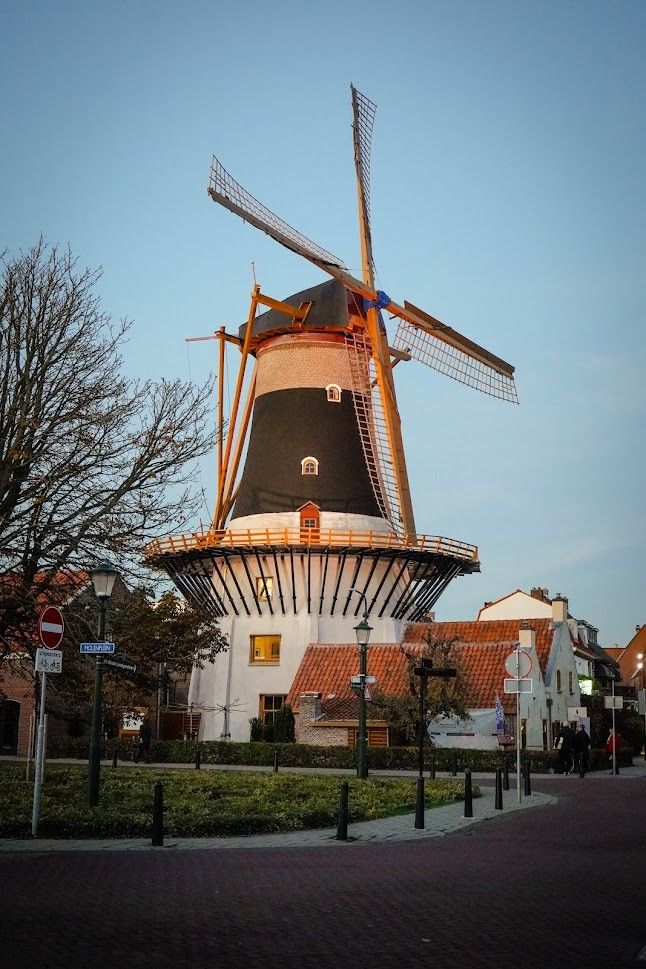 Zijkant foto van Korenmolen Windlust vanaf de straat in Wassenaar