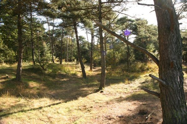 Kuikeindse Heide 3