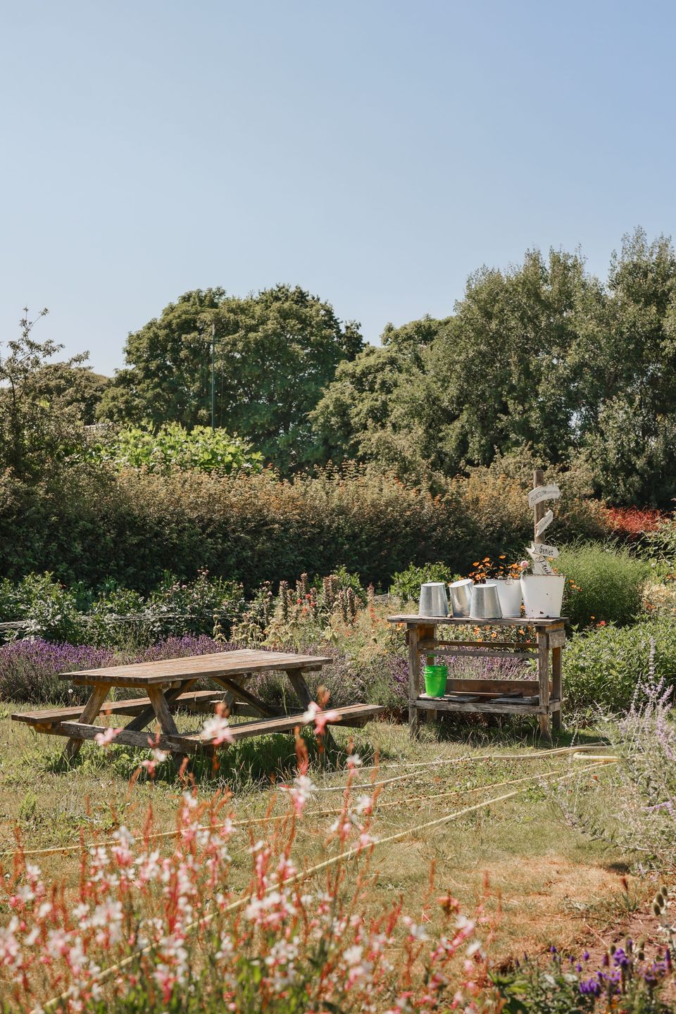 Binnen de pluktuin van Pluktuin Bloemenliefde