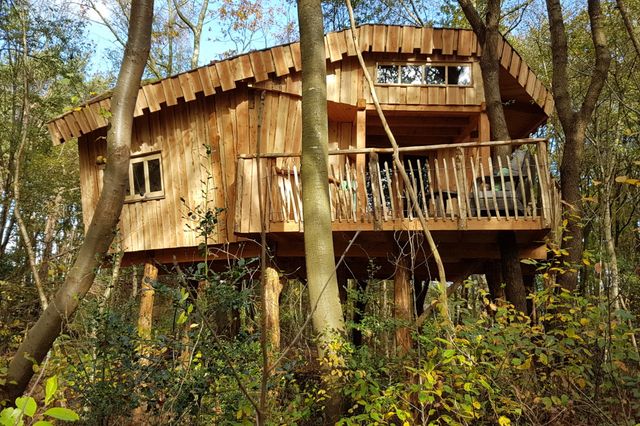 Ein Baumhaus mitten im Wald.