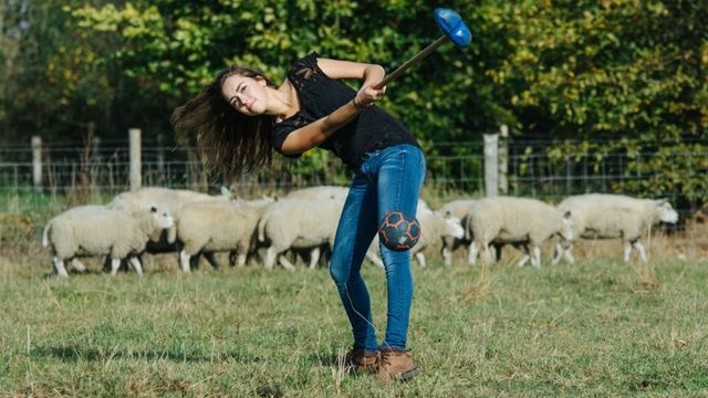 Mooie slag tussen de schapen