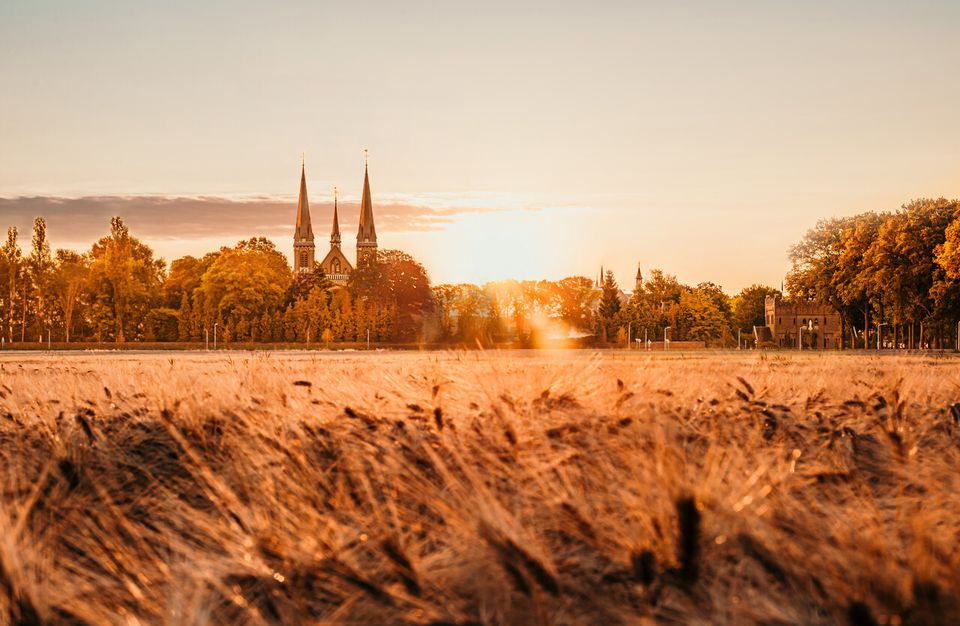 De abdij bij zonsondergang.