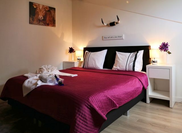 B&B/Boertel***De Meander & Wellness Suite2