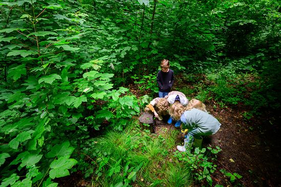 Natuurexcursie en voorlezen in de BosBieb