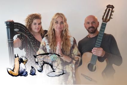 Drie  muzikanten die het concert verzorgen