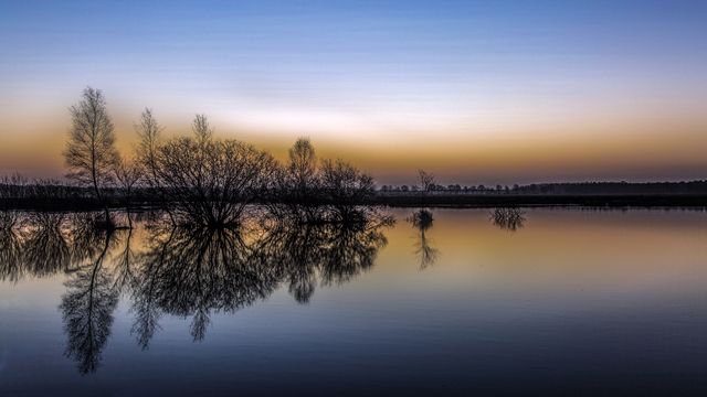 André Brasse - Kunstblik op Noordenveld 2026