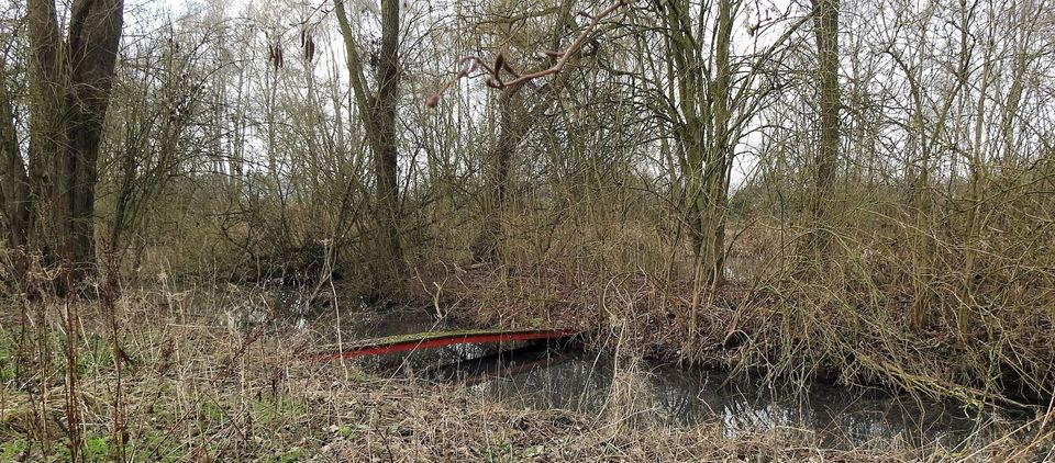 Publiekswandeling Schevelingse Loop