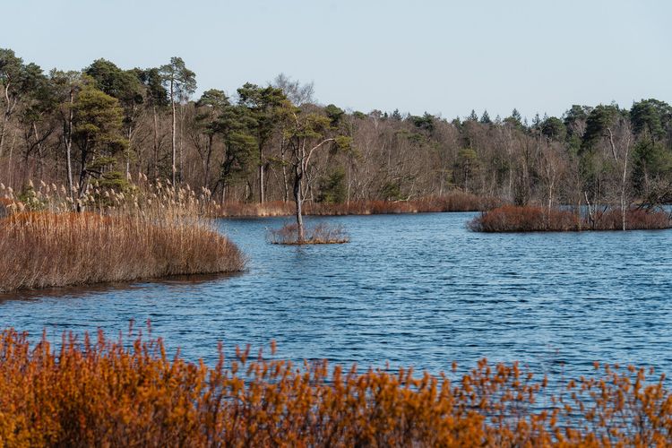 Oisterwijkse bossen en vennen