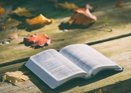 Lecture Terre des Hommes