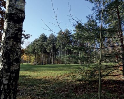 Folder Koekoekbos en Villawijk