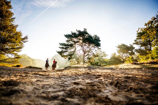 Twee ruiters rijden met hun paarden door de Drentse natuur.
