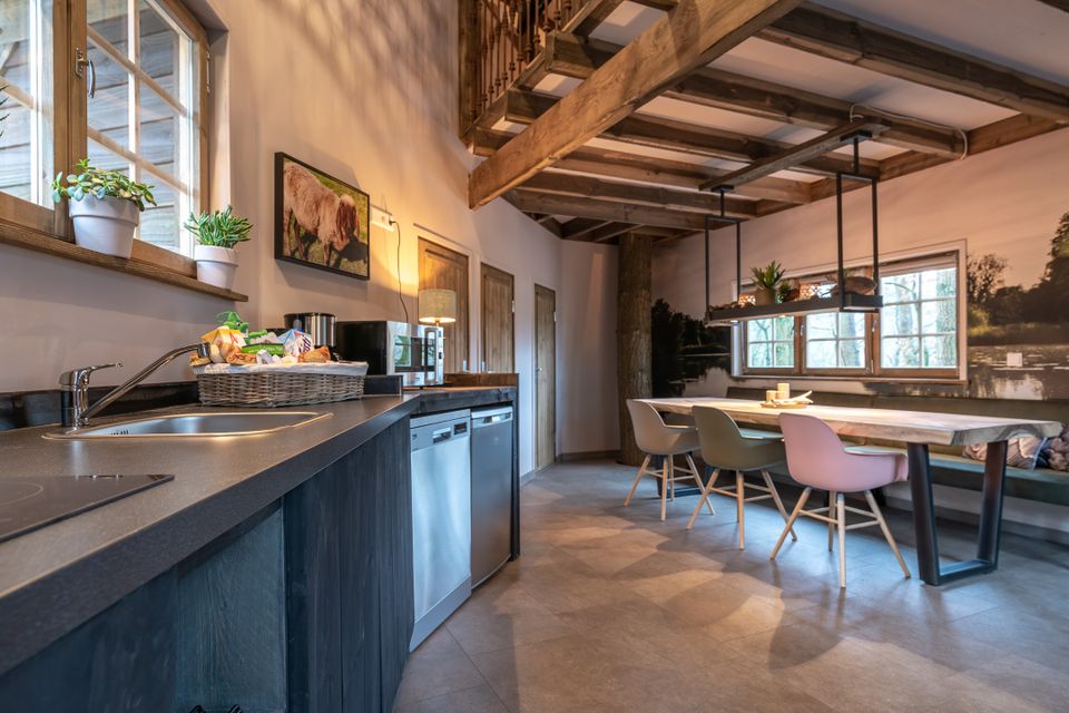 Komfortabel übernachten in der luxuriösen Baumhütte des Ferienparks Drouwenerzand!