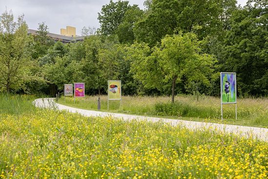 Buitenexpositie: Fascination of Plants