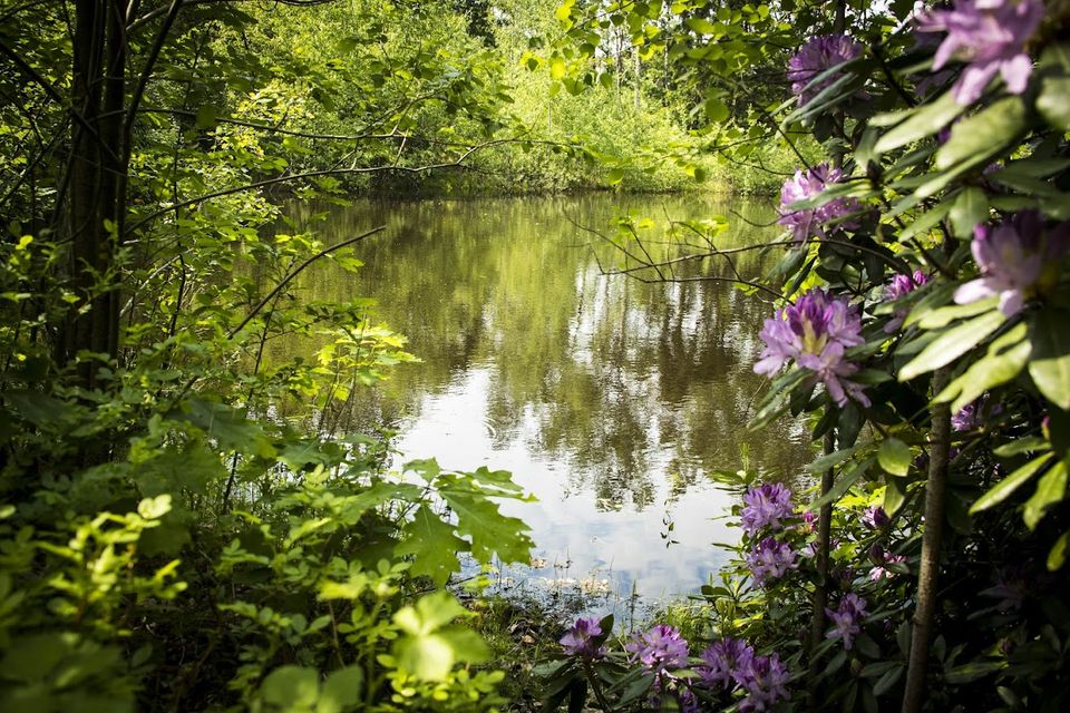 Natuur bij De Guldenberg in Helvoirt