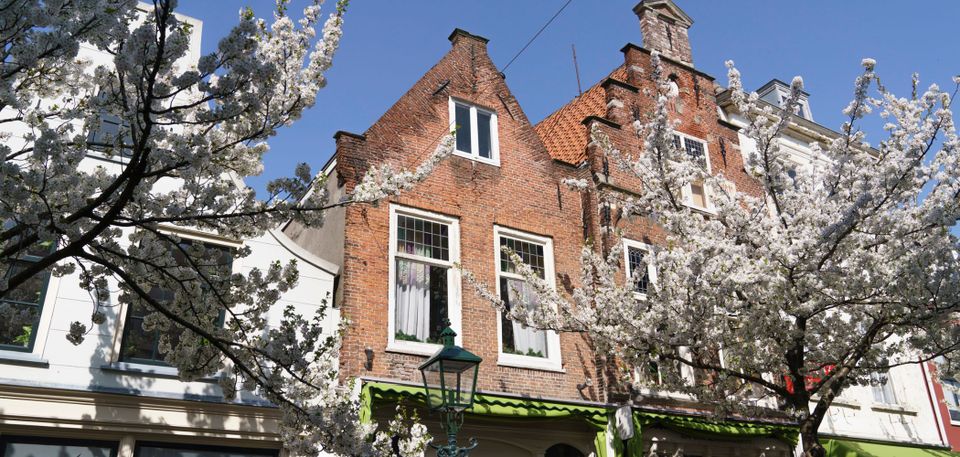 mooie bloesem bomen in de choorstraat