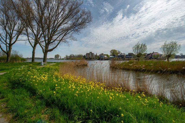 Wijk De Leyens in Zoetermeer, natuur met water