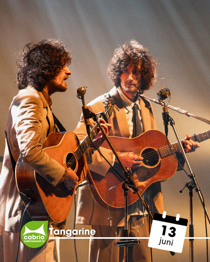 Twee mannen die gitaar spelen