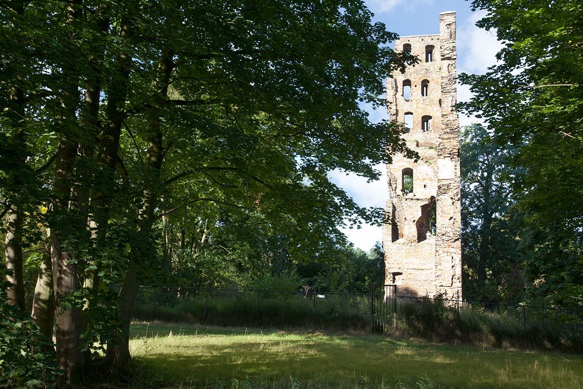 De ruïne van het Kasteel Strijen, de Slotbosse Toren