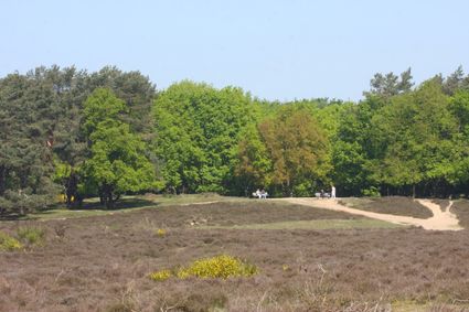 Flora en fauna van de Tafelbergheide door Paul van der Poel