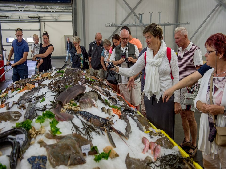 Vistafel bij Visafslag Urk locatie Harlingen.