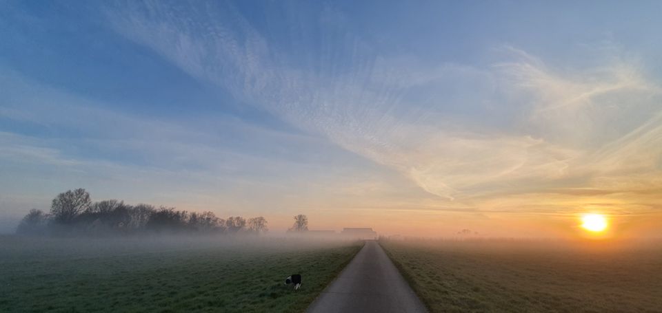 Je ziet een zon die in de najaar'smist ondergaat boven een weiland in de Greidhoek.
