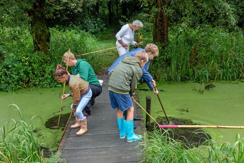 Foto van kinderen bij slootje