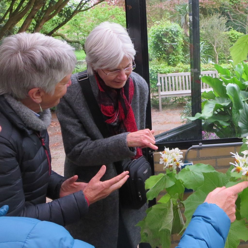 Rondleiding Tropische Kas Beetsterzwaag