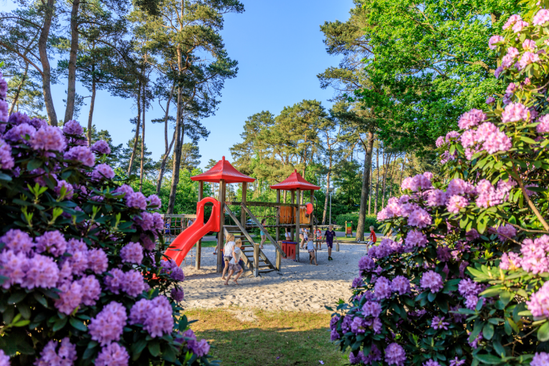 Vakantiepark Diana Heide photo 5