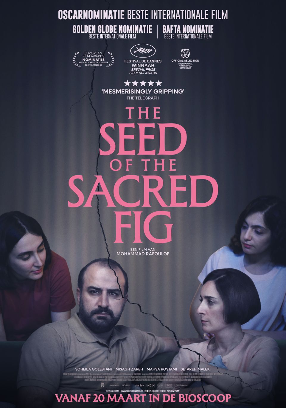 Film | The Seed of the Sacred Fig