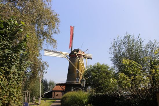 foto: molen